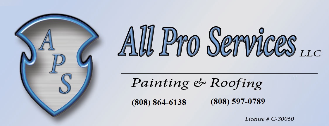 All Pro Services Roofing and Painting Contractor